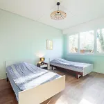 Maison Familiale Au Bord Du D'aureilhan Pour 10 Personnes - Fr-1-50-197 Feriehus